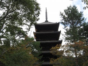 IMG_5376