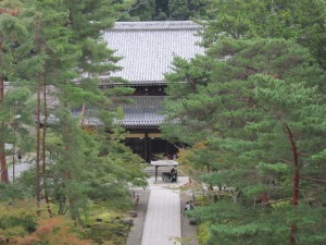 IMG_5421